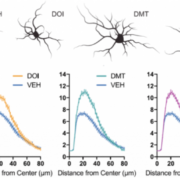 Neuroplasticity, Psychedelics, and Mental Health