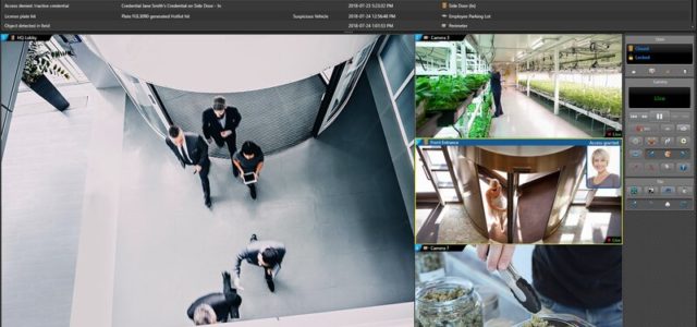 Security Solutions for Cannabis Businesses: Avoid these common mistakes when selecting your access control solution: Part 2 of 3