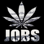 The US cannabis industry now supports 428,059 jobs