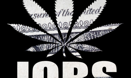 The US cannabis industry now supports 428,059 jobs