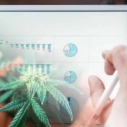 Top Ancillary Cannabis Stocks On The NYSE With Dividends In 2022