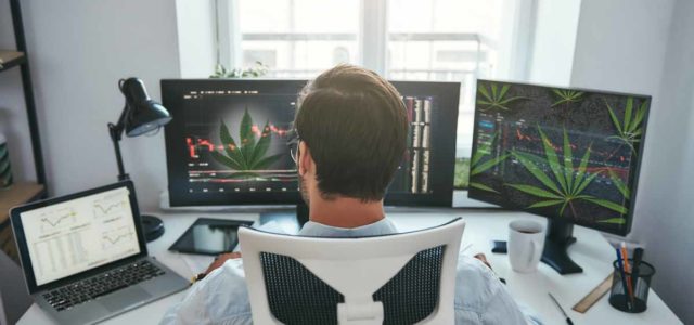 Top Cannabis Stocks To Buy Now? 3 To Watch For In February