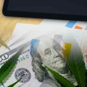 Top Cannabis Stocks To Watch In March 2022