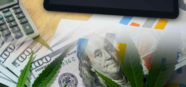 Top Cannabis Stocks To Watch In March 2022