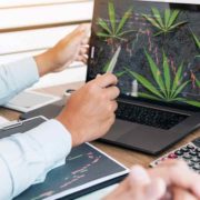 Top Marijuana Stocks To Invest In? 2 To Watch This Month