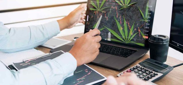 Top Marijuana Stocks To Invest In? 2 To Watch This Month