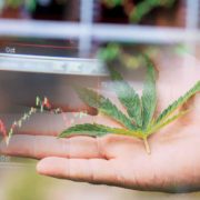 Top Marijuana Stocks To Watch For Valentine’s Day 2022