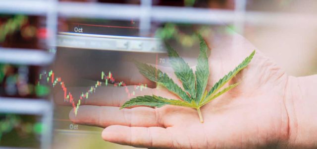 Top Marijuana Stocks To Watch For Valentine’s Day 2022