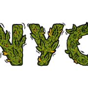 What We Learned from the New York City Cannabis Conversation