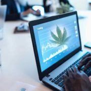 2 Marijuana Stocks To Watch That Should Be On Your Radar