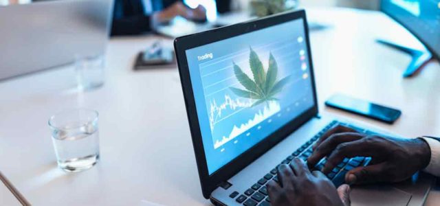 2 Marijuana Stocks To Watch That Should Be On Your Radar