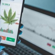 2 Marijuana Stocks To Watch This Tuesday