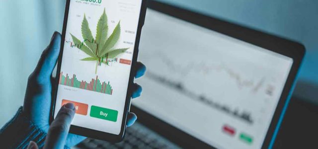 2 Marijuana Stocks To Watch This Tuesday