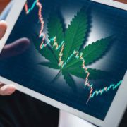 3 Marijuana Stocks To Buy The First Week Of March? Here’s What Should Know