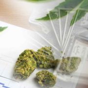 3 Marijuana Stocks To Watch Before April Begins