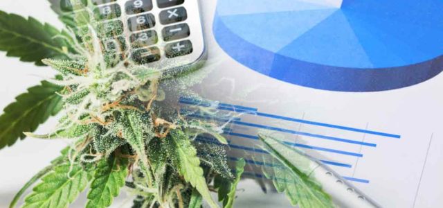 3 Marijuana Stocks To Watch In The Market Today