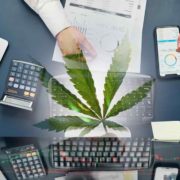 3 Top Marijuana Stocks For Your Watchlist Right Now
