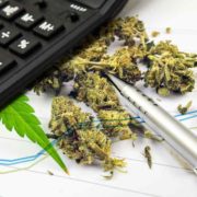 Are These Marijuana Stocks Better Short Term Or Long Term Investments?