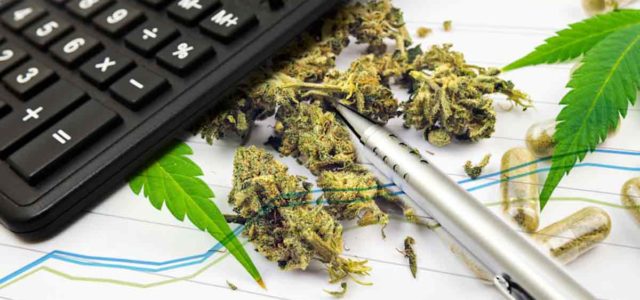 Are These Marijuana Stocks Better Short Term Or Long Term Investments?