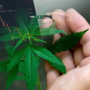Best Cannabis ETFs For Your Watchlist Right Now? 3 For Robinhood And WeBull Investors