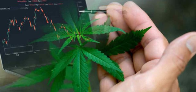 Best Cannabis ETFs For Your Watchlist Right Now? 3 For Robinhood And WeBull Investors