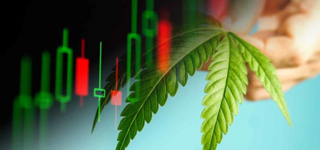 Best Marijuana Stocks To Buy Before April? 2 US Companies That Just Released Earnings