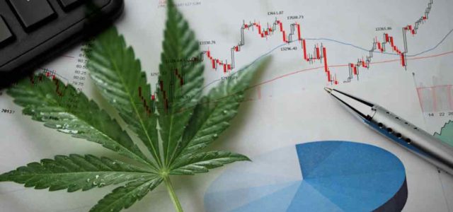 Best Marijuana Stocks To Invest In 2022? 3 To Watch This Week