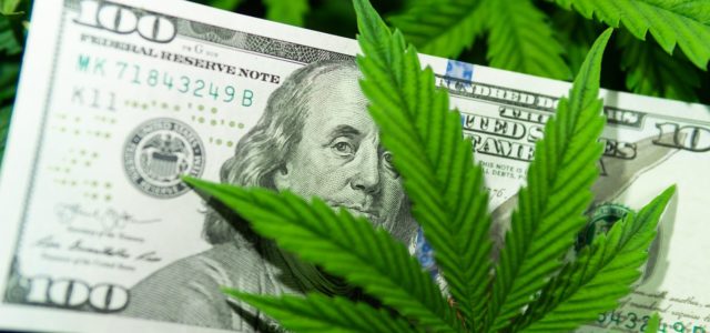 Cannabis Industry Trends To Watch For In 2022