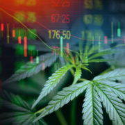 Cannabis stocks are hot ahead of a House panel hearing on a federal legalization bill