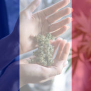 France Enters The Medical Cannabis Industry