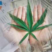 Marijuana Stocks To Buy In March? 2 For Your Watchlist Right Now