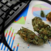 Marijuana Stocks To Watch Right Now? 4 Companies Reporting Earnings This Week