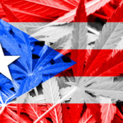 Opposition to Cannabis in Puerto Rico: Uninformed