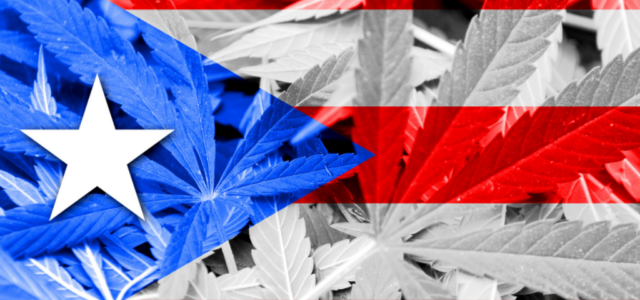 Opposition to Cannabis in Puerto Rico: Uninformed