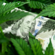 States, flush with marijuana money, are now fighting over what to do with it