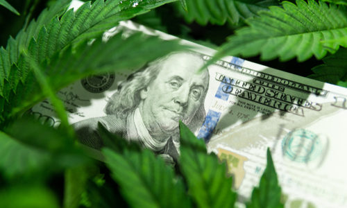 States, flush with marijuana money, are now fighting over what to do with it