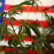 These Marijuana Stocks May See Some Upside As The House Votes On Cannabis Reform