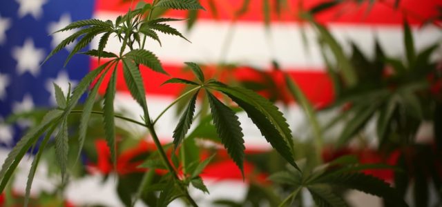 These Marijuana Stocks May See Some Upside As The House Votes On Cannabis Reform