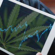 Top Ancillary Cannabis Stocks To Buy? 2 Giving Cannabis A Presence Online