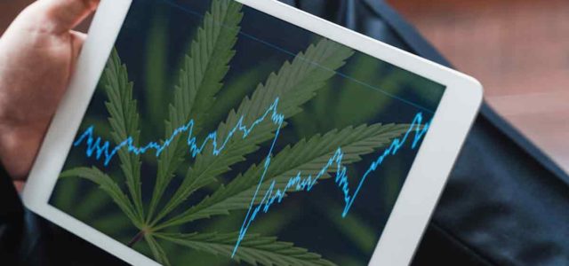 Top Ancillary Cannabis Stocks To Buy? 2 Giving Cannabis A Presence Online