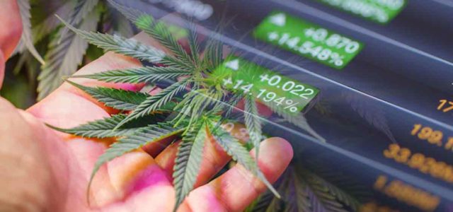 Top Ancillary Marijuana Stocks To Buy Before April? 3 To Add To Your List Right Now