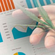 Top Canadian Marijuana Stocks To Buy? 3 To Watch Right Now