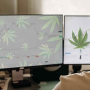 Top Cannabis Stocks To Buy Right Now? 3 For Your Watchlist Mid-March