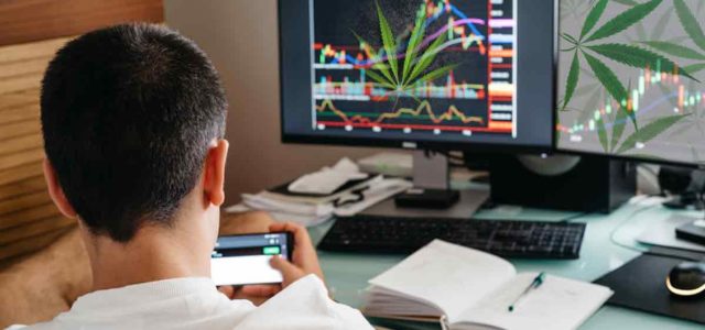 Top Marijuana Penny Stocks Right Now? 3 With Analysts Forecasting Upside