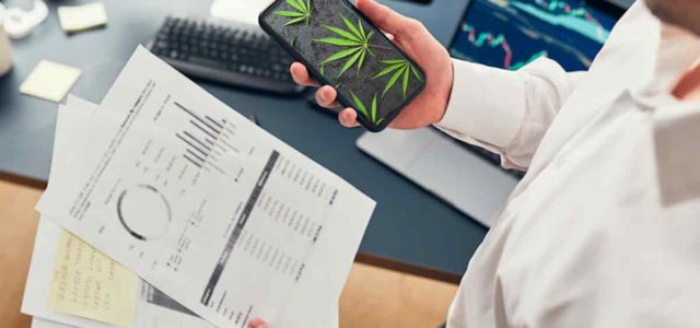 Top Marijuana Stocks To Buy In 2022? 3 To Watch Mid-March For Your Long-Term Portfolio