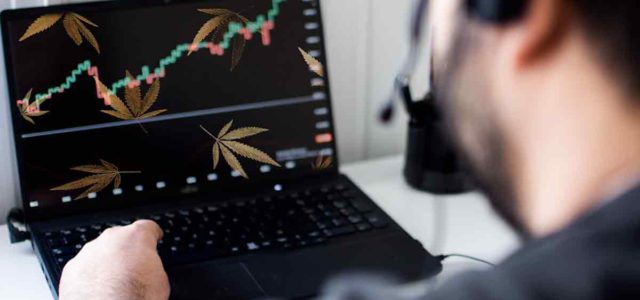 Top Marijuana Stocks To Buy In 2022? 3 To Watch This Month