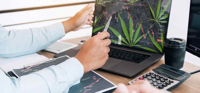 Top Marijuana Stocks To Buy In 2022? 5 For Your Watchlist Before April