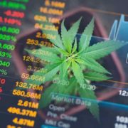 Top Marijuana Stocks To Check Out Over The Weekend