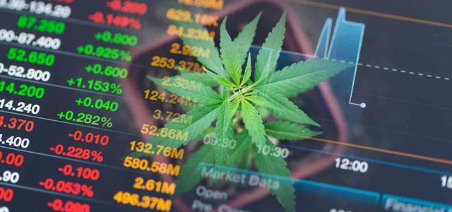 Top Marijuana Stocks To Check Out Over The Weekend