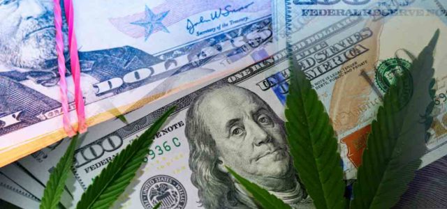 3 Marijuana Stocks To Watch As Investors Wait For The Sector To Recover